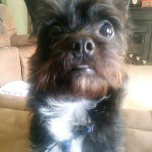 Meet your Posher, Kylie